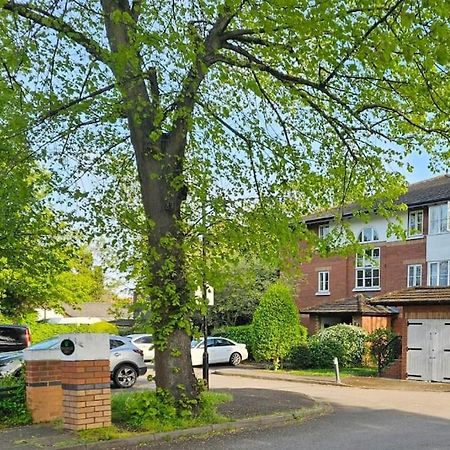Appartamento Lovely Flat Close To Shepherd'S Bush Londra Esterno foto